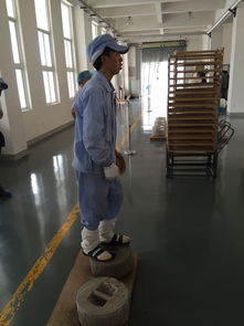 当高科技制茶机遇上传统石磨 易武茶文化体验之旅走进祥源易武工厂